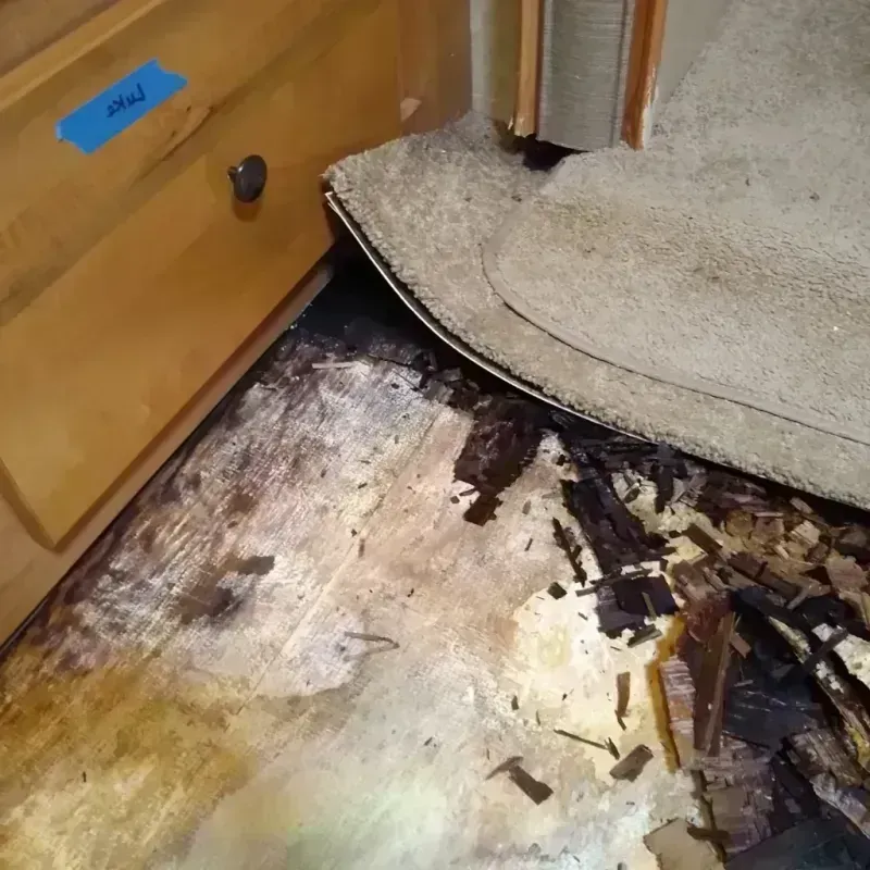 Wood Floor Water Damage in Gasconade County, MO